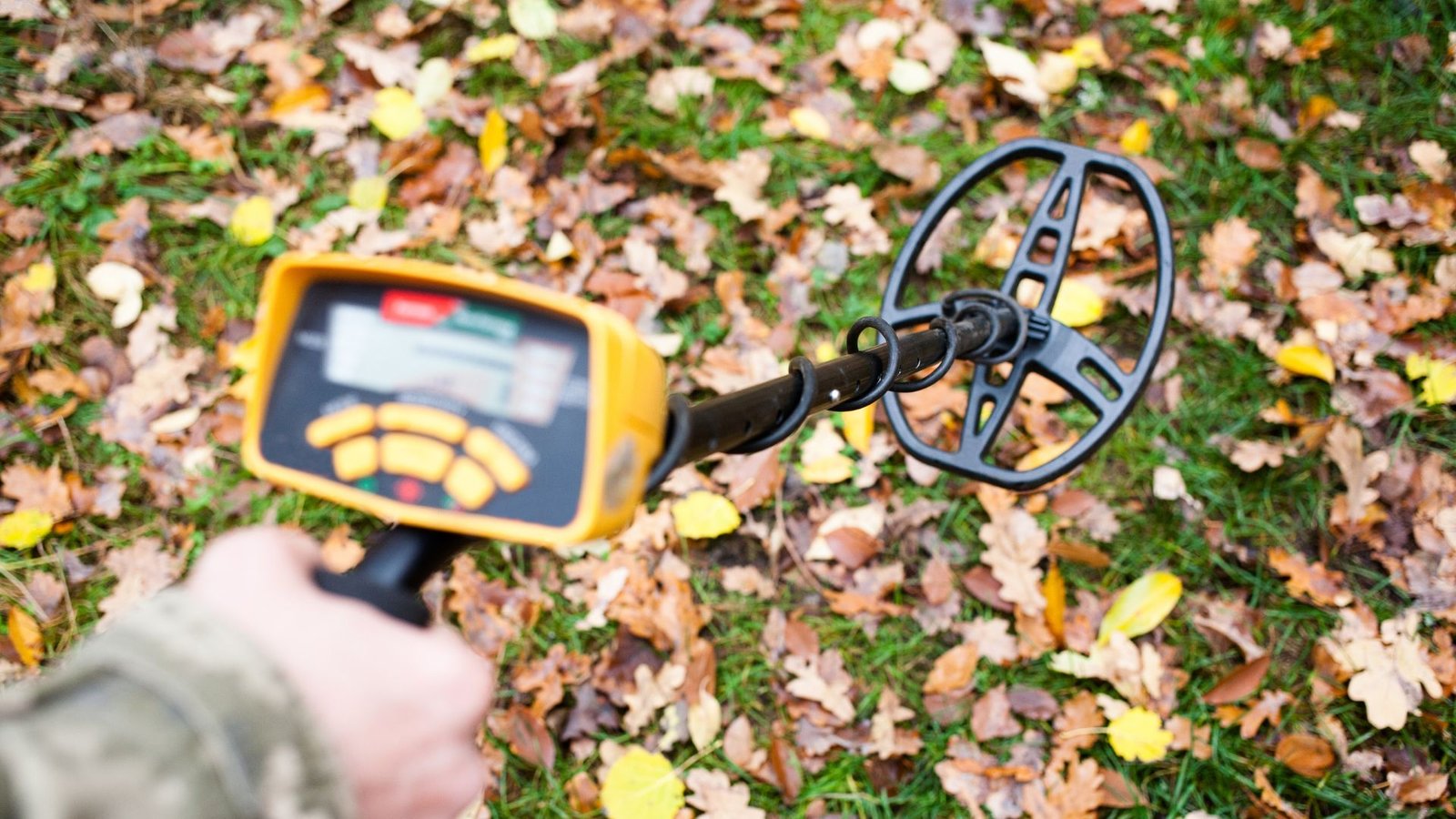 Best Metal Detectors Under 1000 Discover Valuable Finds