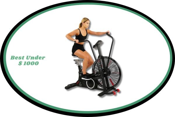 best exercise fan bike